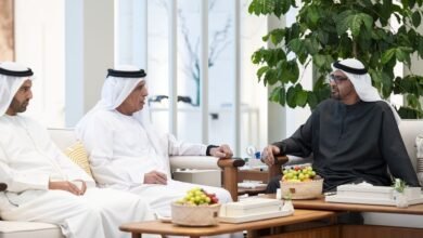 رئيس الدولة يستقبل حاكم رأس الخيمة