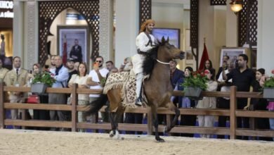جناح الدولة بمعـرض الفـرس للجديدة بالمغرب يستقطب أعدادا كبيرة من الزوار
