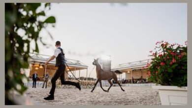 بطولة الفجيرة الدولية للخيل العربي ترفع وتيرة التنافس في يومها الثاني 5 بطولة الفجيرة الدولية للخيل العربي ترفع وتيرة التنافس في يومها الثاني