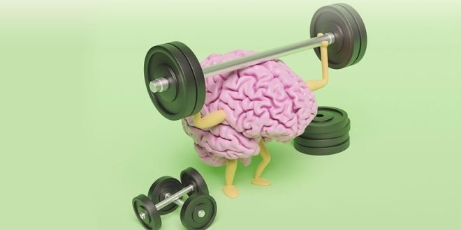 3 تمارين رياضية تعزز صحة الدماغ 1 3 تمارين رياضية تعزز صحة الدماغ