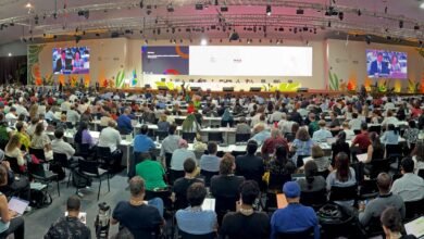 التوصل إلى اتفاق في "كوب 30" دون الإشارة إلى الوقود الأحفوري