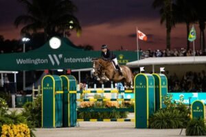 "مدن القابضة" تعلن عن استثمار استراتيجي في "ويلنغتون لايفستايل بارتنرز" لتوسع محفظتها العالمية من وجهات الحياة العصرية 3 "مدن القابضة" تعلن عن استثمار استراتيجي في "ويلنغتون لايفستايل بارتنرز" لتوسع محفظتها العالمية من وجهات الحياة العصرية