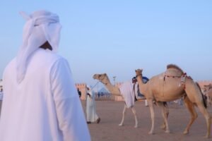 مزاينة سويحان بمهرجان الظفرة.. تجربة تراثية مميزة 7 مزاينة سويحان بمهرجان الظفرة.. تجربة تراثية مميزة