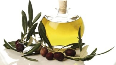 دراسة جديدة تكشف فائدة زيت الزيتون في الوقاية من السمنة والتهابات الدماغ