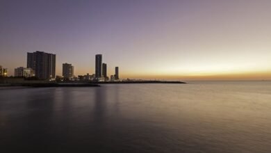 "سياحية عجمان" تستعرض رؤيتها لتطوير منظومة سياحية في "سوق السفر العالمي"