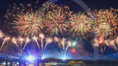 تحت رعاية رئيس الدولة.. مهرجان الشيخ زايد 2025-2026 يعقد فعالياته في أبوظبي