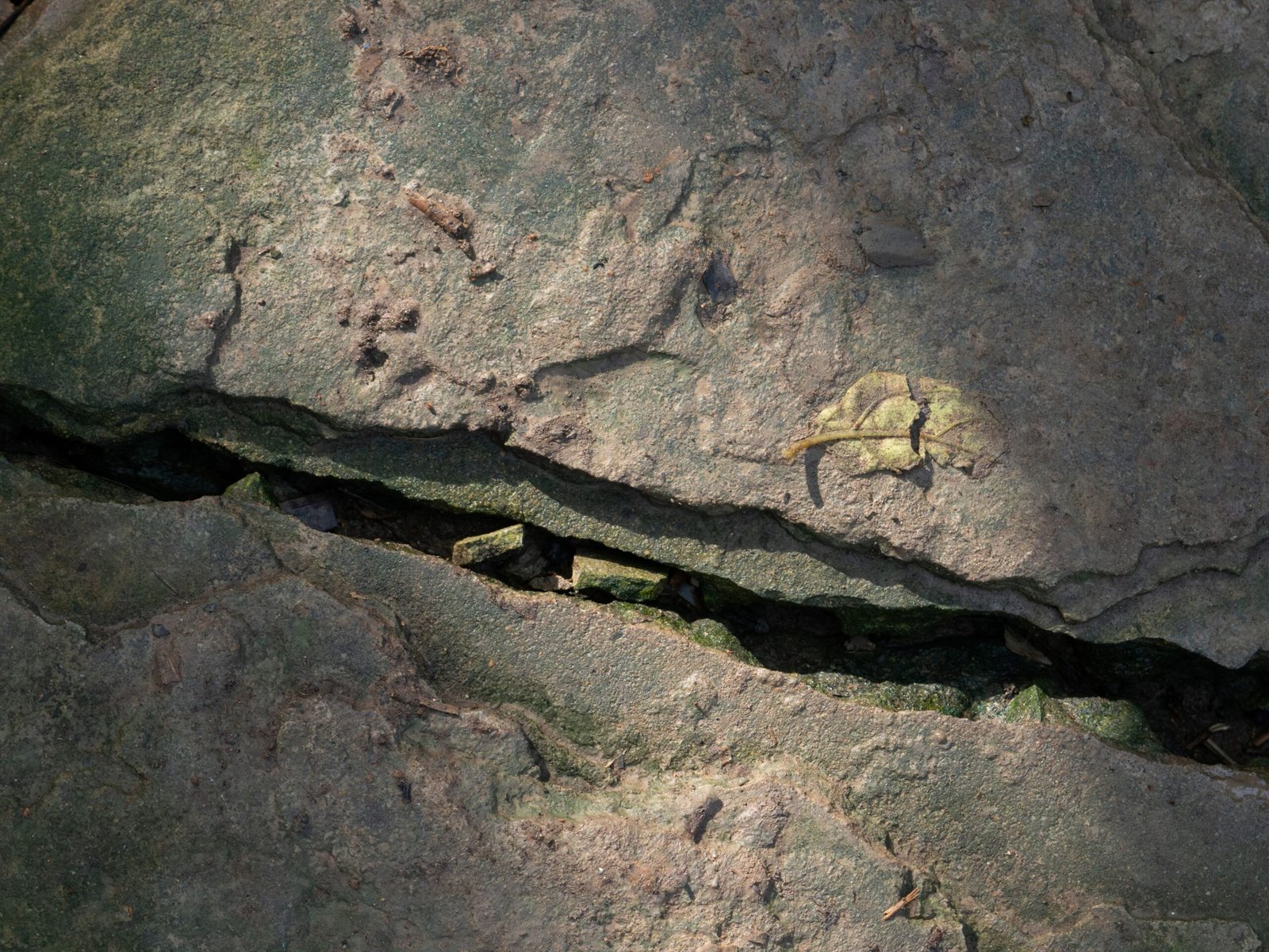 علماء يكتشفون أدلة على عملية انقسام جيولوجي بطيئة لقارة إفريقيا 1 علماء يكتشفون أدلة على عملية انقسام جيولوجي بطيئة لقارة إفريقيا