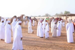 مزاينة سويحان بمهرجان الظفرة.. تجربة تراثية مميزة 3 مزاينة سويحان بمهرجان الظفرة.. تجربة تراثية مميزة