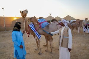 ضمن الدورة الــ19 من مهرجان الظفرة.. مزاينة رزين تعقد فعالياتها في أبوظبي