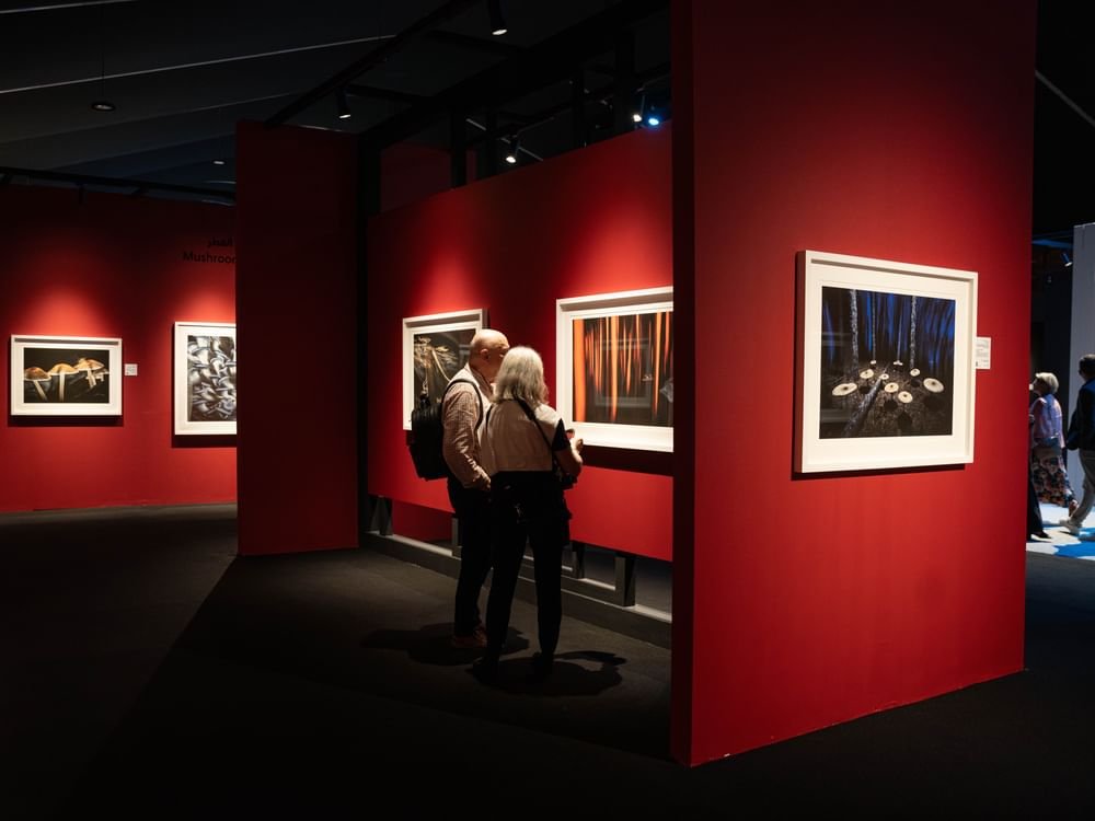 29 ألف عمل فوتوغرافي و634 فيلماً في "إكسبوجر 2026" 1 29 ألف عمل فوتوغرافي و634 فيلماً في "إكسبوجر 2026"