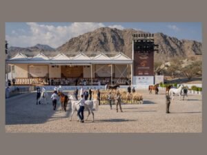 بطولة الفجيرة الدولية للخيل العربي ترفع وتيرة التنافس في يومها الثاني