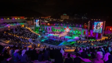 النجمة أنغام