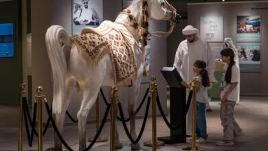 ركن للخيول في منصة "ذاكرة الوطن" بمهرجان الشيخ زايد