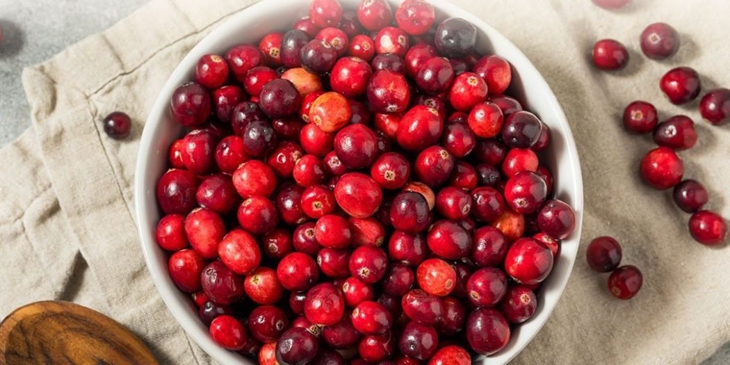 دراسة: التوت البري قد يساهم في تقوية العظام