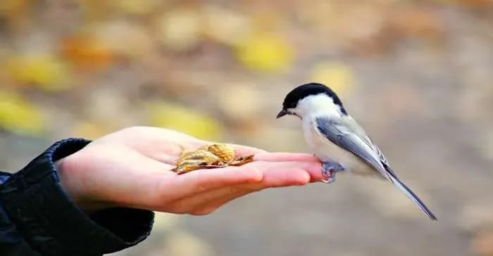 دراسة جديدة تكشف عن حيل بسيطة وفعالة لمعالجة الحزن والاكتئاب 1 دراسة جديدة