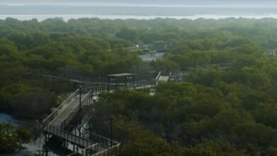 «بيئة أبوظبي»