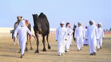 «مزاينة رزين»