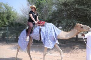 مزاينة سويحان بمهرجان الظفرة.. وجهة جاذبة للسياح