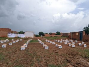 الإمارات..التزام إنساني ودبلوماسي تجاه السودان