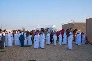 «مزاينة رزين».. من منافسة محلية إلى محطة بارزة لملاك الإبل وعشاق التراث