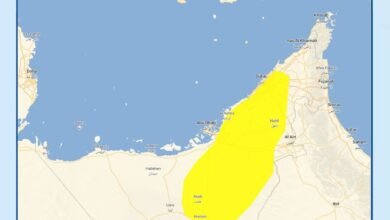 الوطني للأرصاد / ضباب / بيان