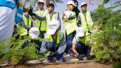 "بلدية أبوظبي"