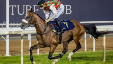 المهر"صافي" والجواد "إنر بيس" يحصدان الألقاب في مضار أبوظبي