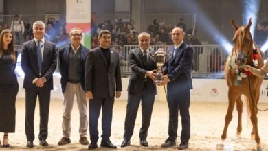 ختام ناجح للجولة التاسعة من كأس الإمارات العالمي لجمال الخيل العربية في إيطاليا