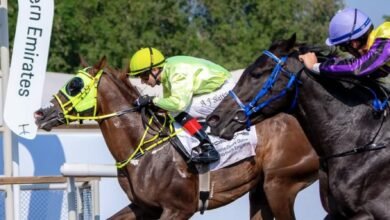 82 خيلاً في السباق الثالث لمضمار جبل علي احتفالاً بعيد الاتحاد