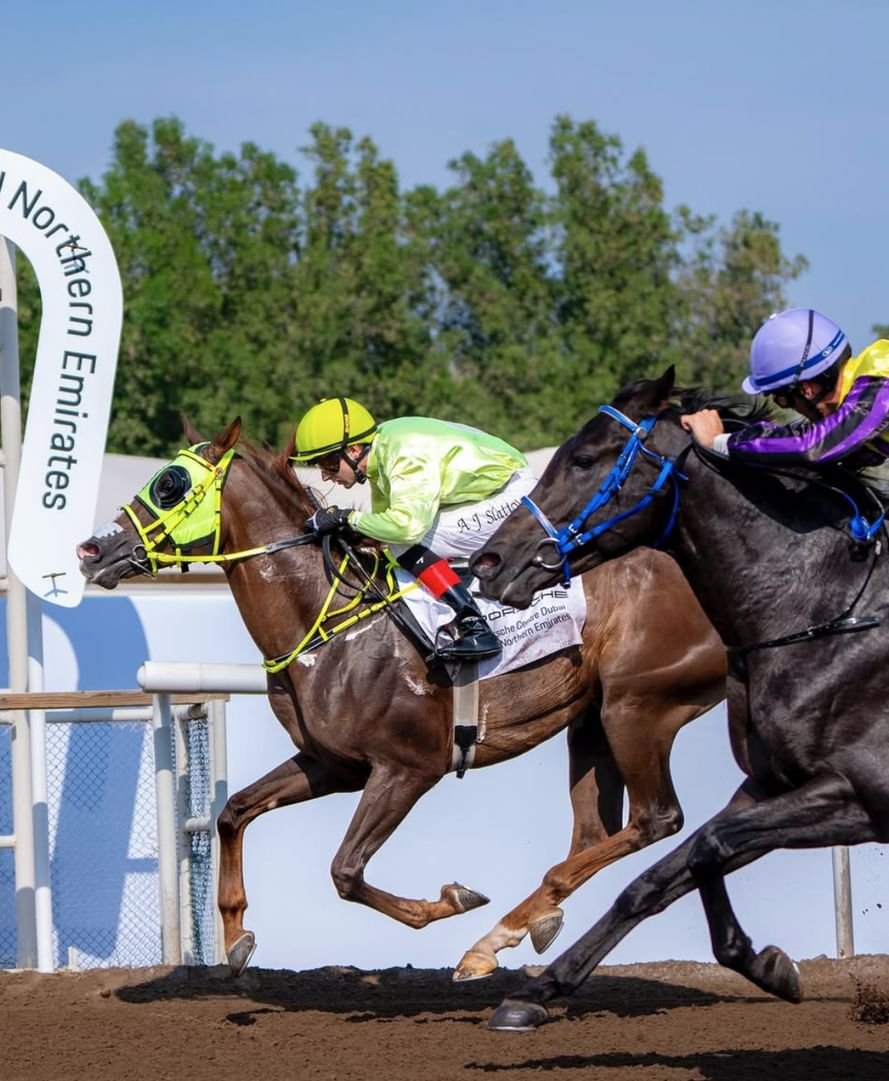 82 خيلاً في السباق الثالث لمضمار جبل علي احتفالاً بعيد الاتحاد 1 82 خيلاً في السباق الثالث لمضمار جبل علي احتفالاً بعيد الاتحاد