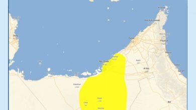 "الوطني للأرصاد" يحذر من تدني مدى الرؤية بسبب تشكل الضباب