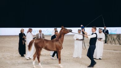منافسات قوية في ختام بطولة الإمارات الوطنية لجمال الخيل العربية