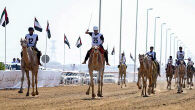 "اتحاد الهجن" يعتمد مبادرة جديدة لتسجيل الطلبة في السباق التراثي خلال "الاختبارات الدراسية"