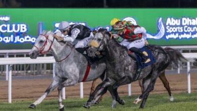 "نخبة الخيول" تتنافس في السباق التحضيري لكأس رئيس الدولة على مضمار أبوظبي
