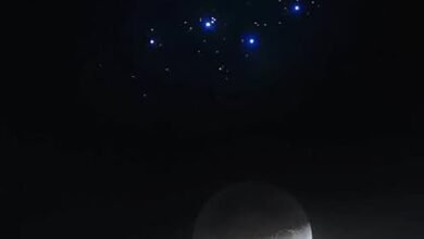 الإمارات للفلك ترصد ظواهر سماوية مميزة خلال ديسمبر