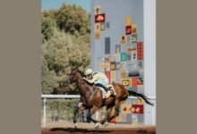 74 خيلاً تشارك في ثاني سباقات مضمار جبل علي