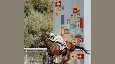 74 خيلاً تشارك في ثاني سباقات مضمار جبل علي