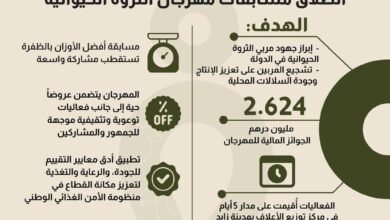 انطلاق فعاليات مهرجان الثروة الحيوانية في أبوظبي
