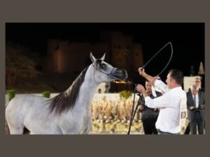 برعاية ولي عهد الفجيرة /انطلاق النسخة العاشرة من بطولة الفجيرة الدولية للخيل العربي