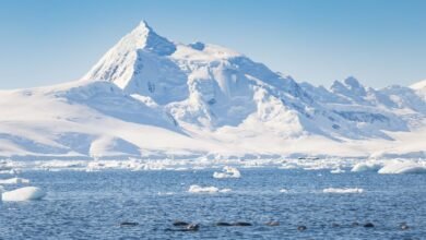 نهرهيكتوريا الجليدي في أنتاركتيكا يسجل أسرع تراجع في التاريخ الحديث خلال 2022