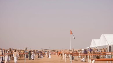 "مزاينة رزين" المحطة الثانية لمهرجان الظفرة تنطلق غدا