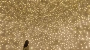 متحف «تيم لاب فينومينا» أبوظبي.. رحلة فنية غامرة في عالم الفن الرقمي