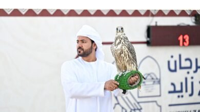 مشاركة واسعة في ختام مسابقة مهرجان الشيخ زايد التراثي للصقور