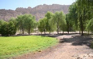 «منتزه جبل حفيت».. وجهة سياحية متفردة تحتضن أسرار آلاف السنين