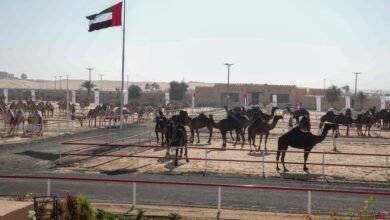 رموز الذهب