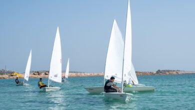 «مهرجان الياسات»