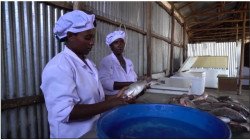 برنامج مصائد الأسماك الممول من مجموعة البنك الأفريقي للتنمية يؤثر على مليوني شخص، ويقود التحول الاقتصادي في 16 دولة من دول مجموعة التنمية لجنوب أفريقيا (SADC)