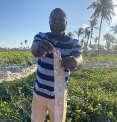 برنامج مصائد الأسماك الممول من مجموعة البنك الأفريقي للتنمية يؤثر على مليوني شخص، ويقود التحول الاقتصادي في 16 دولة من دول مجموعة التنمية لجنوب أفريقيا (SADC)