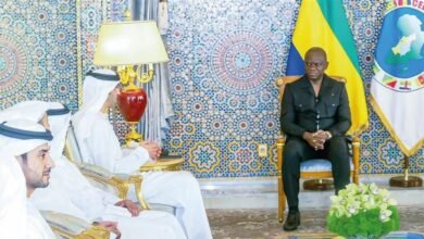 الإمارات والجابون تواصلان تعزيز علاقاتهما التجارية والاستثمارية