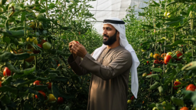 سلطة أبوظبي للتسجيل تسجل نمواً بنسبة 29% في عدد الرخص الزراعية الصادرة بين يناير وسبتمبر 2025